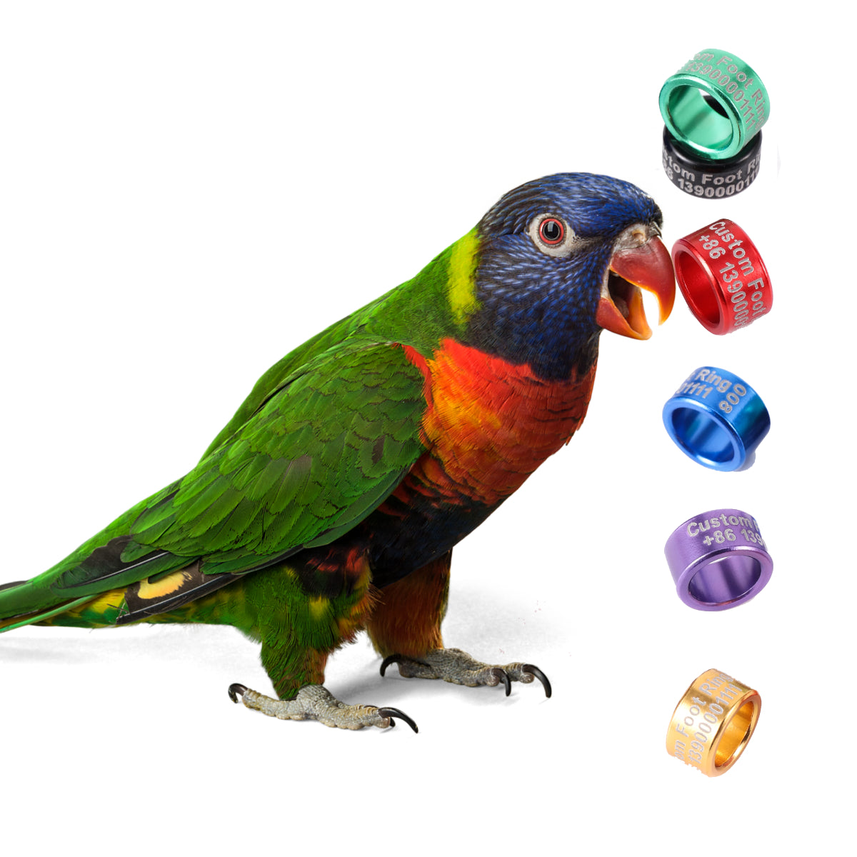 Custom Aluminum Lorikeet Leg Bands, Personalized Lorikeet Rings