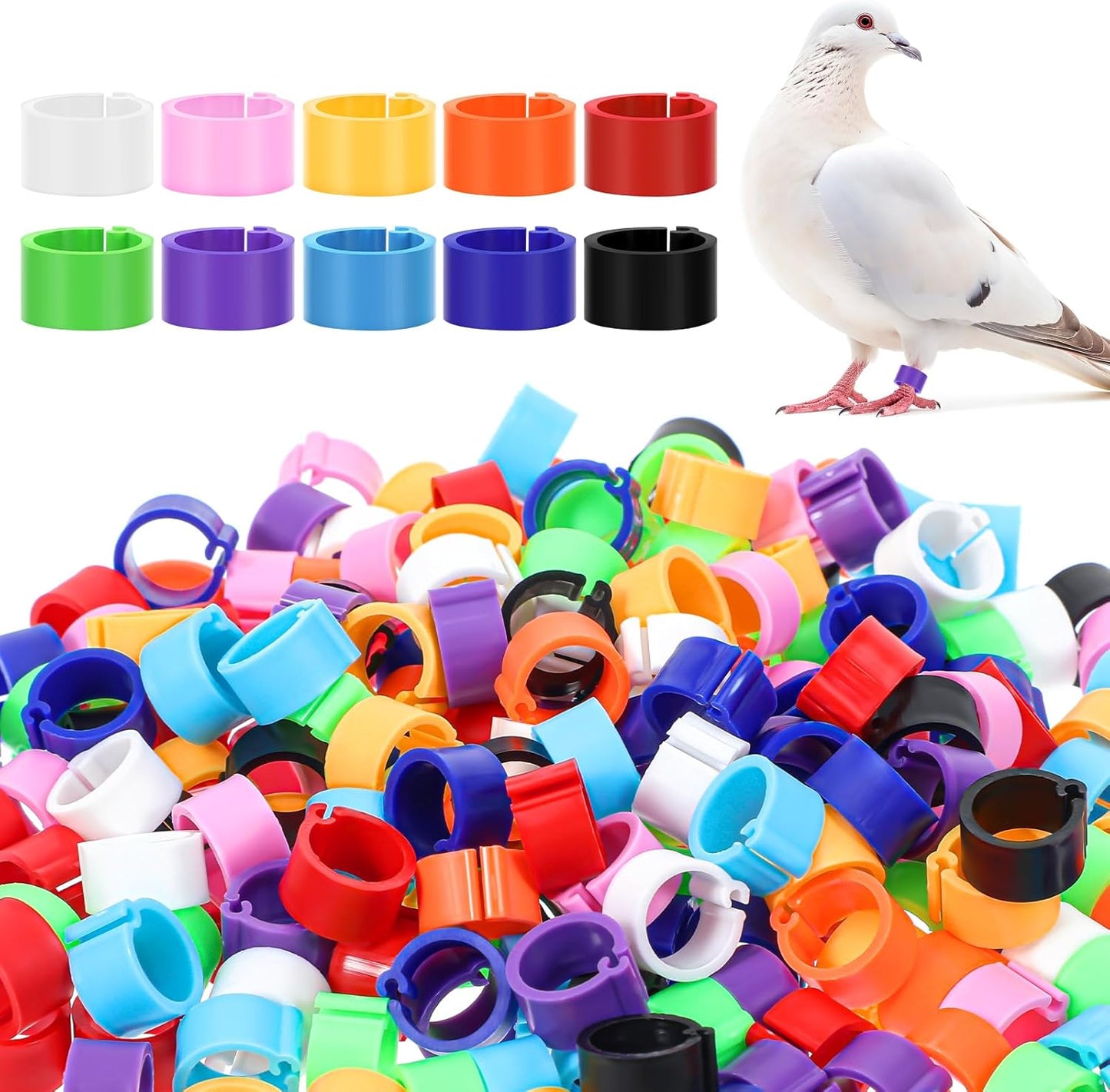 Custom Plastic Pigeon Leg Clips, Pigeon Rings, Personalized Pigeon Leg Bands