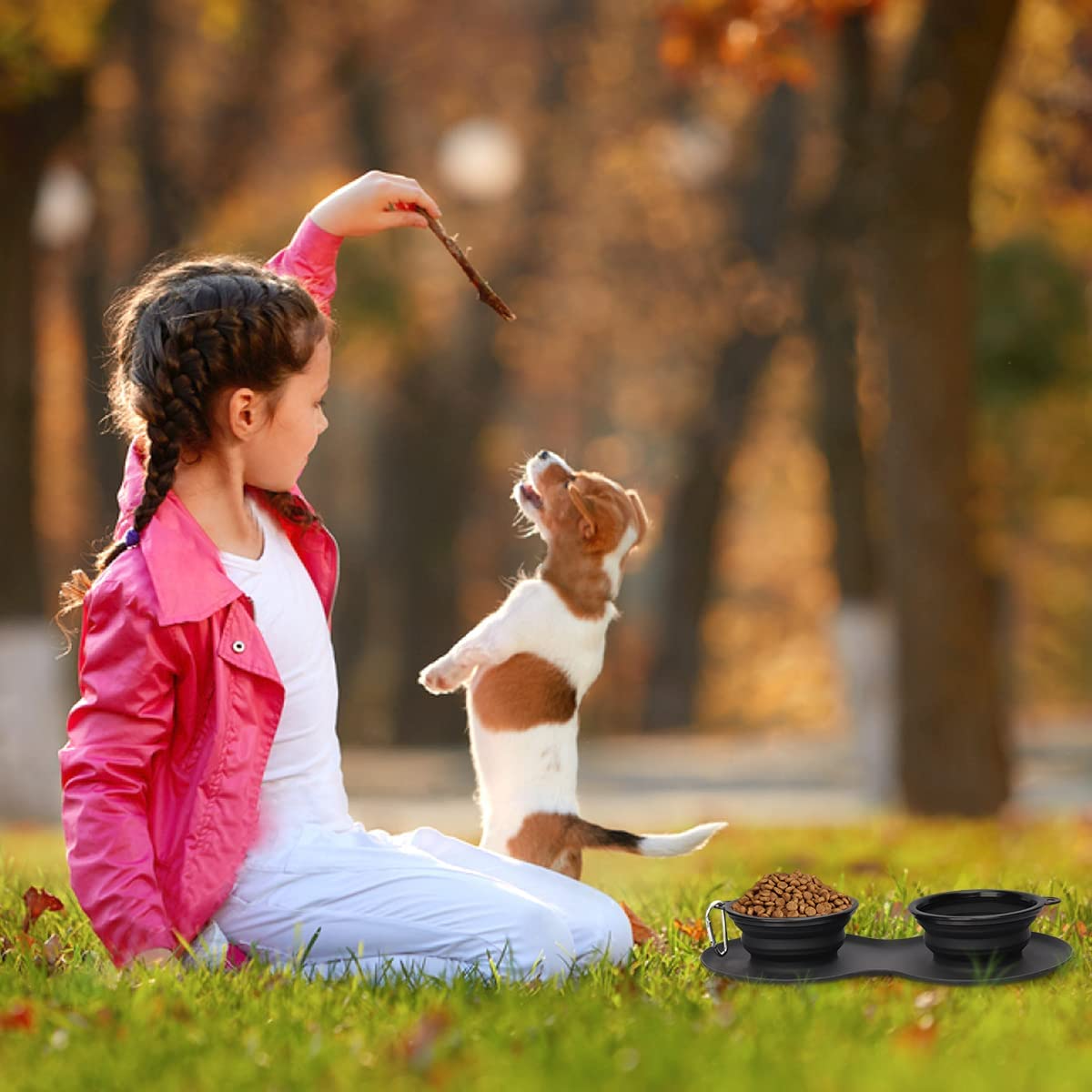 Promotional Custom Logo Collapsible Travel Dog Bowls Portable Food & Water Bowls - Double Bowls